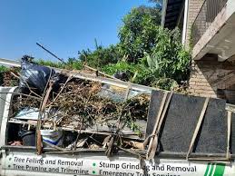 Best Carpet Removal and Disposal  in Leisuretowne, NJ